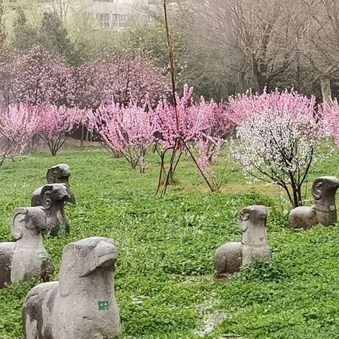 探秘神秘土想森林：古老传说背后隐藏的秘密与奇幻生物们
